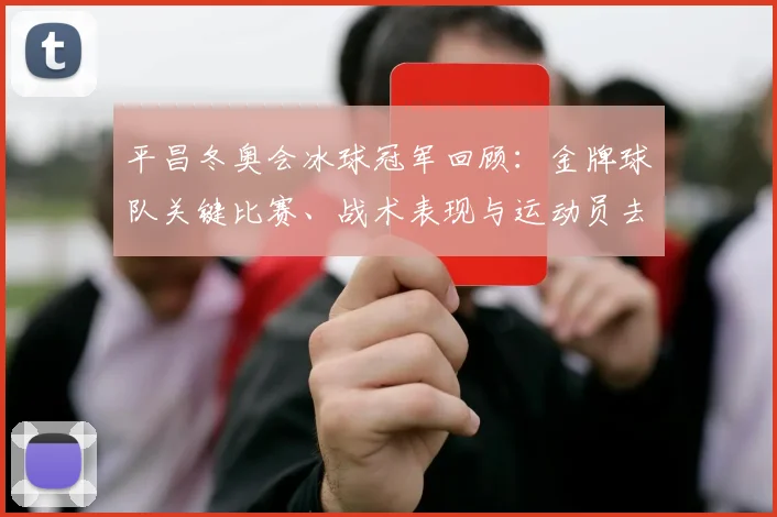 平昌冬奥会冰球冠军回顾：金牌球队关键比赛、战术表现与运动员去向