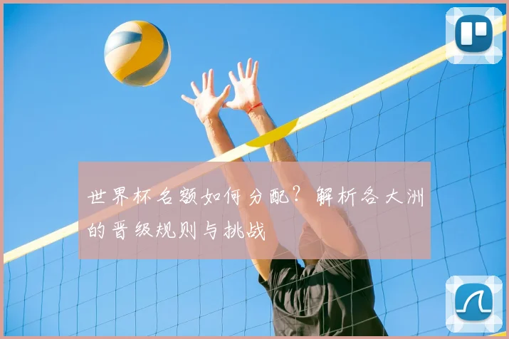 世界杯名额如何分配？解析各大洲的晋级规则与挑战