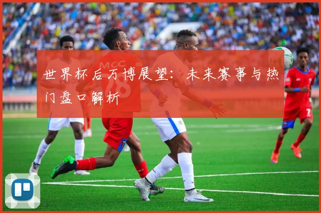 世界杯后万博展望：未来赛事与热门盘口解析