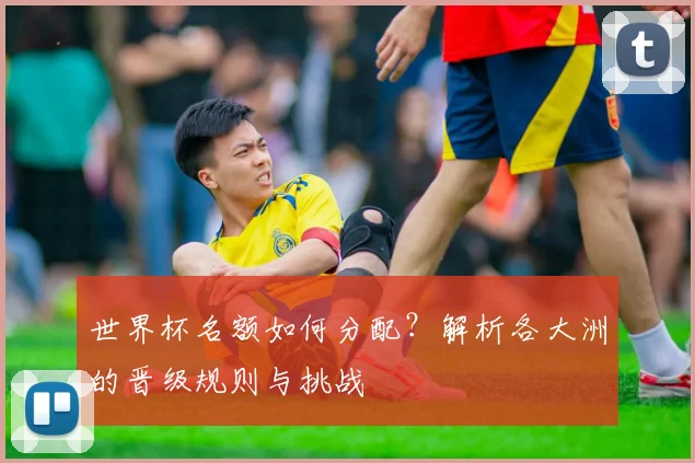 世界杯名额如何分配？解析各大洲的晋级规则与挑战
